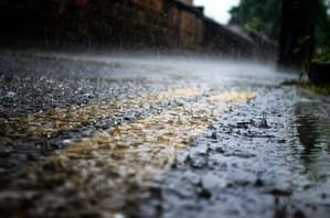 Heavy rain in TN's Tenkasi, restrictions imposed at Courtallam waterfalls