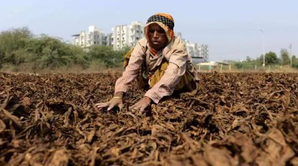 K'taka JD(S) thanks PM Modi for helping tobacco farmers hit by excess rains