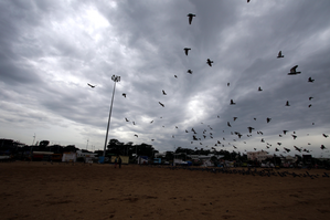 Heavy rain alert for TN's Delta districts, Collectors asked to take precautions