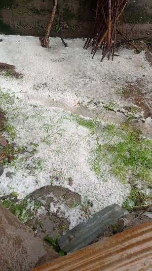 Winter's last kick: Hailstorm in Jhunjhunu districts blankets fields with layer of white