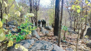 Maoist camp demolished in Jharkhand’s Chaibasa, arms cache seized