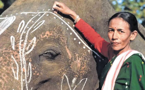 Assam’s ‘Elephant Girl’ Parbati Barua shatters gender stereotypes in wildlife conservation