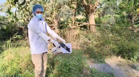 Mystery Surrounds death of 20 crows in Bihar’s Bhojpur, officials rule out Bird Flu