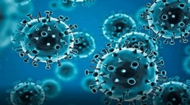 Rajasthan: Seven more test positive for Covid-19, case tally rises to 39