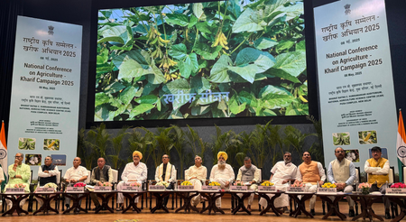 Punjab seeks cash incentive of Rs 17,500 per hectare for paddy diversification