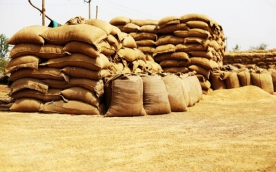 Centre’s wheat purchase at MSP crosses 29.7 million tonnes