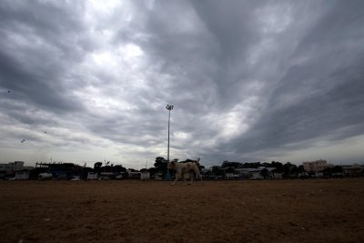 Heavy rain forecast in Western Ghats, interior TN districts till May 16