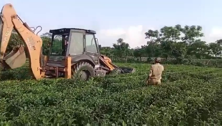 Bengal LoP accuses state govt of destroying tea garden, providing income to tribal people