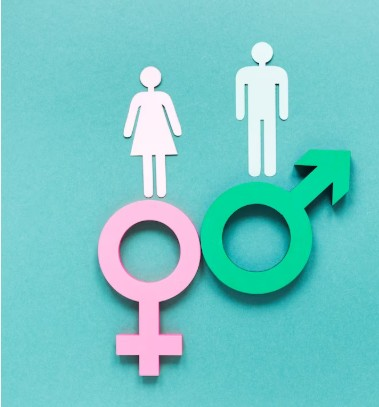 Himachal's sex ratio records improvement, touches 964 in 2024