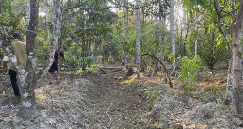 Centre issues model rules to states/UTs to aid ease of doing business in agroforestry