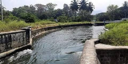 Farmers of Tiruppur, TN appeal for release of PAP water to Vattamalai dam amid drought crisis