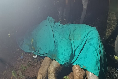 Maoist landmine claims life of young elephant in Jharkhand’s Chaibasa