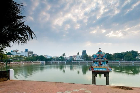 After NGT nudge, TN govt to install steel mesh around Kapaleeswarar Temple tank