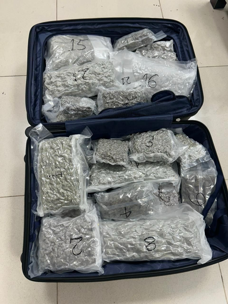 Hydroponic cannabis worth Rs 12 crore seized at Tiruchi airport, passenger detained