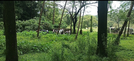 Torn blouse, PAN card found at 1st burial site: Lawyer on Dharmasthala probe