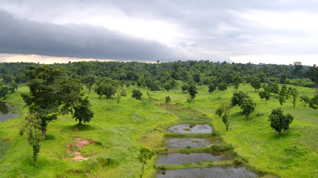 Tripura to set up six eco-parks to boost tourism, protect forests: Minister