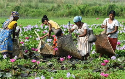 Cabinet greenlights Rs 4,250 crore to boost infra, empower vulnerable groups in Assam and Tripura
